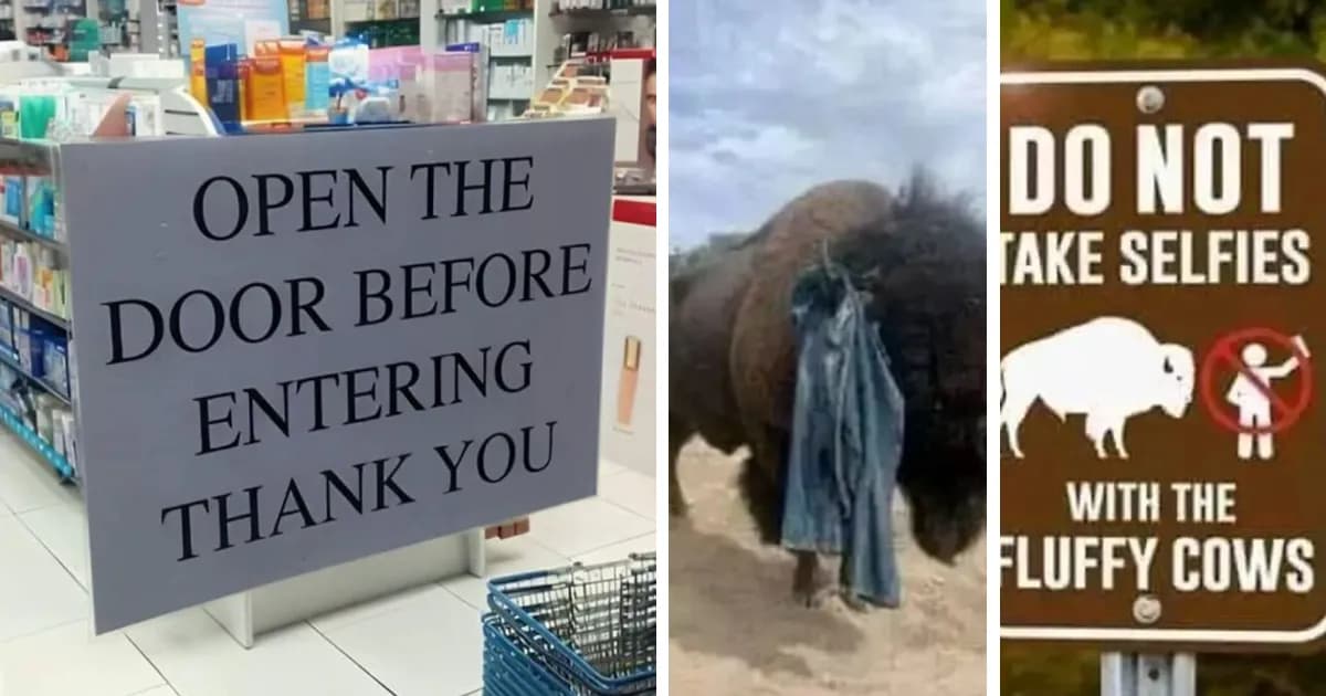 36 Amusing Disclaimers That Only Exist Because Someone Probably Got Sued