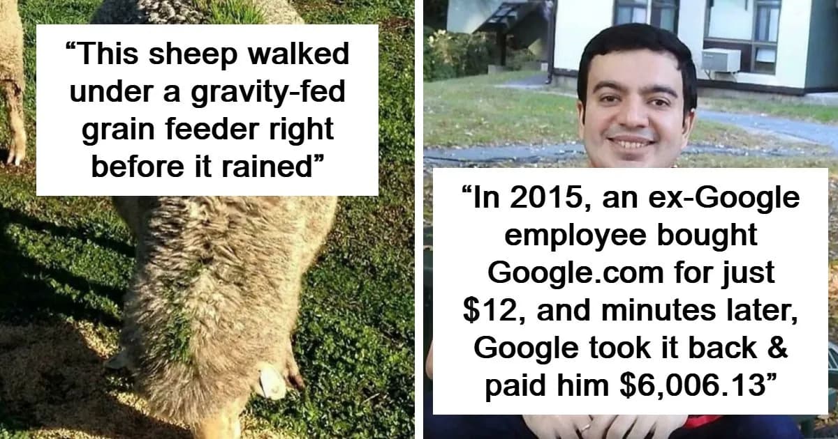 Wholesome Internet: Photos That Capture The Good Side Of Life