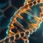 AI decodes DNA initiator sequence found in about 60% of human genes