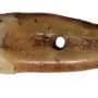 A museum-shelf mystery reveals 6,500-year-old human tooth pendant in Serbia