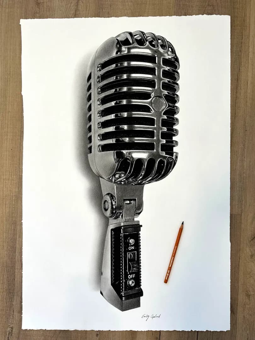Someone just bought my microphone drawing!