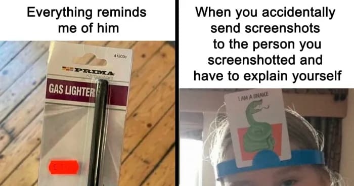 42 Funny Memes To Make A Dark Day A Little Brighter