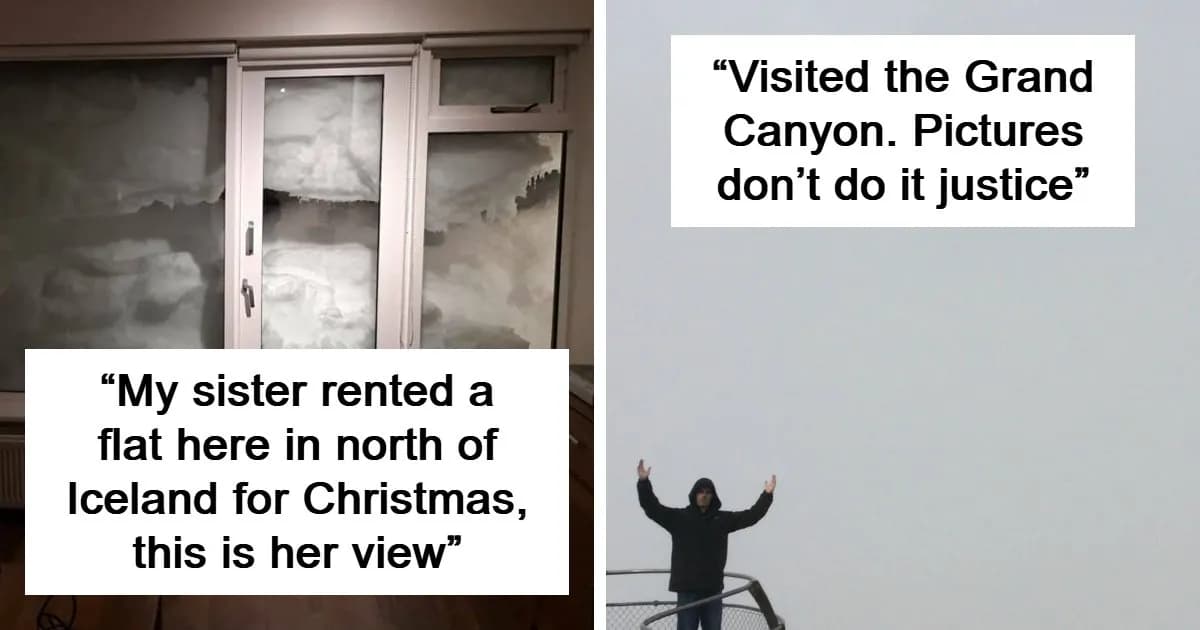 90 Times Peopleās Trips Didnāt Go Exactly As Planned