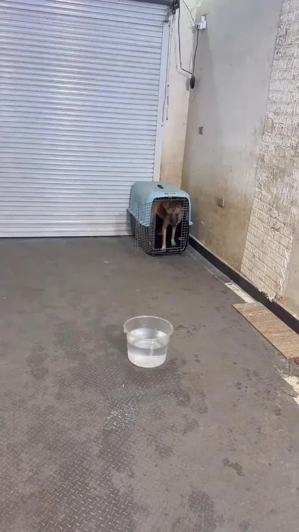 Day 11 of asking this guy to train my girlfriend.