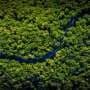 Can satellites detect when forests lose resilience?