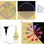 Soil bacteria share amino acids, helping nearly half survive nutrient gaps