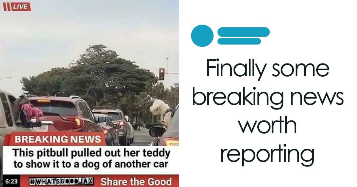 Sometimes The Internet Gets It Right, These 44 Oddly Wholesome Images Prove It
