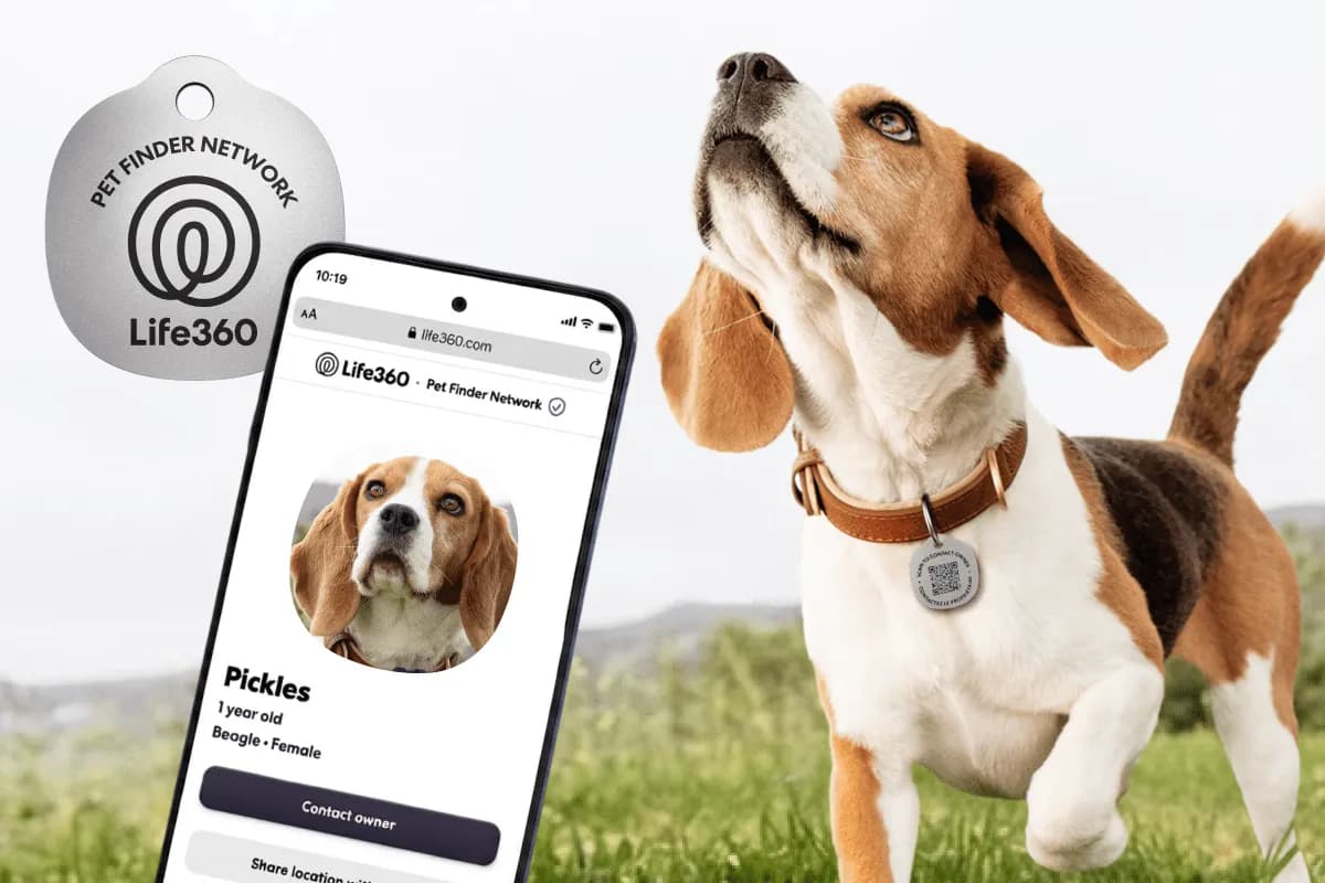 Life360 expands pet tracking with new $8 scannable tags and zoomie alerts | TechCrunch