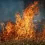 From flames to haze, wildfire smoke transforms as it travels, and it can harm your health in different ways