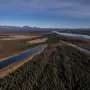 A lush knee-high jungle grows in the Arctic, but warming is changing Earth's mini-greenhouse