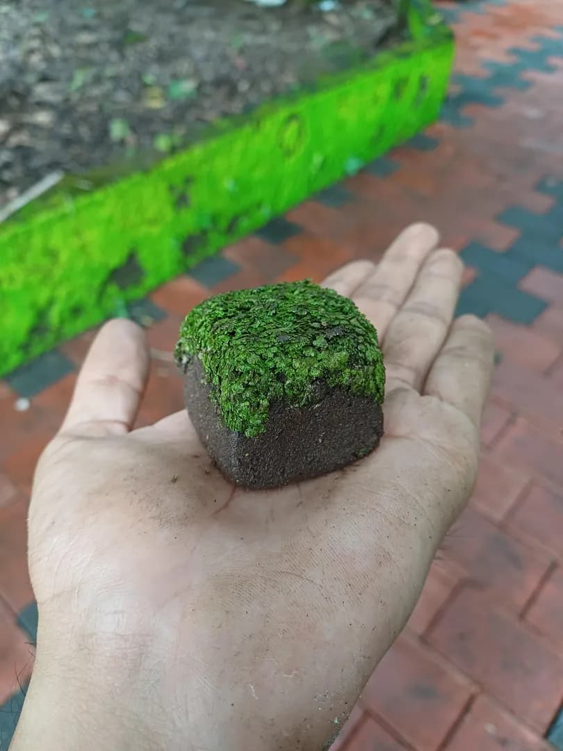 I made some Minecraft grass blocks after making the creeper face