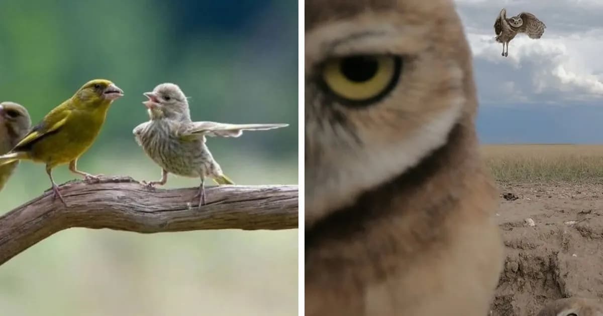 106 Photos That Look Like They're Fake But People Actually Took Them