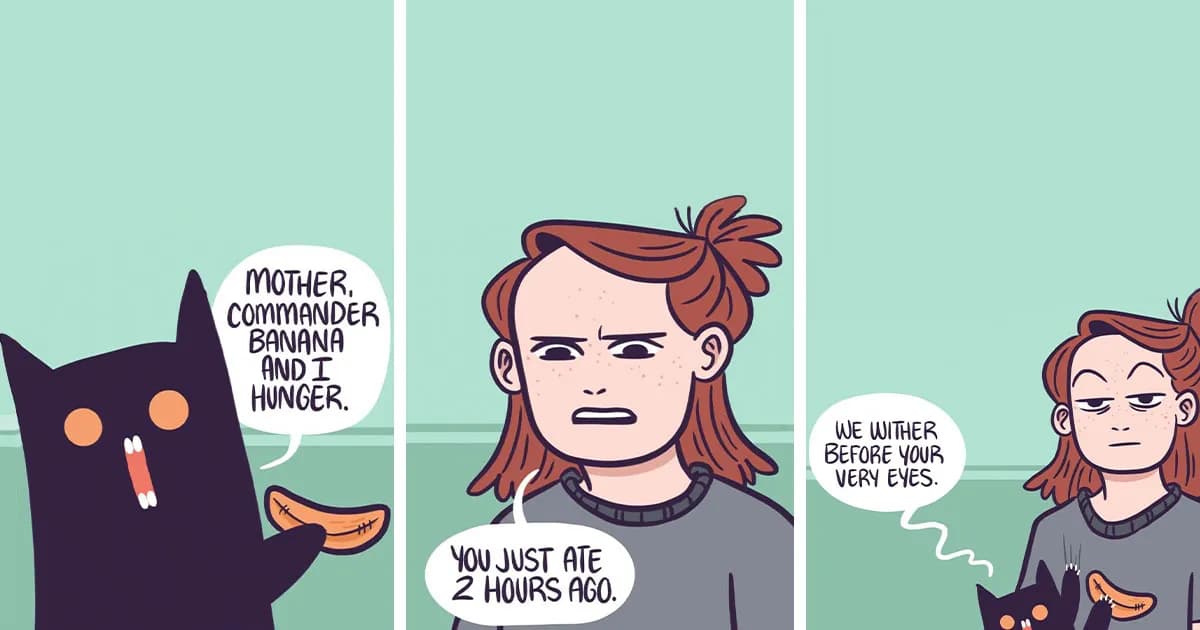 28 Honest And Relatable Comics About Life With A Cat By Meg Adams