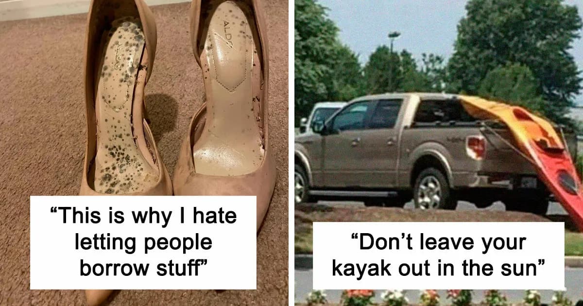 Amusingly Unfortunate Moments When People Had To Learn From Their Mistakes