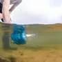 Genetic traces reveal river residents: 1,072 species in a bucket of water