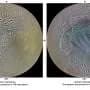 Did ocean motion carve Enceladus's tiger stripes?