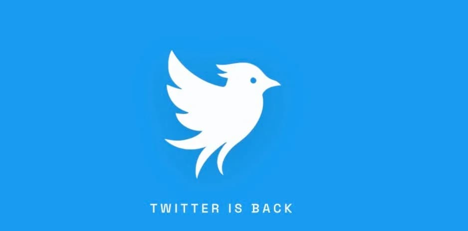 Hold up, there's a new Twitter in the town | TechCrunch