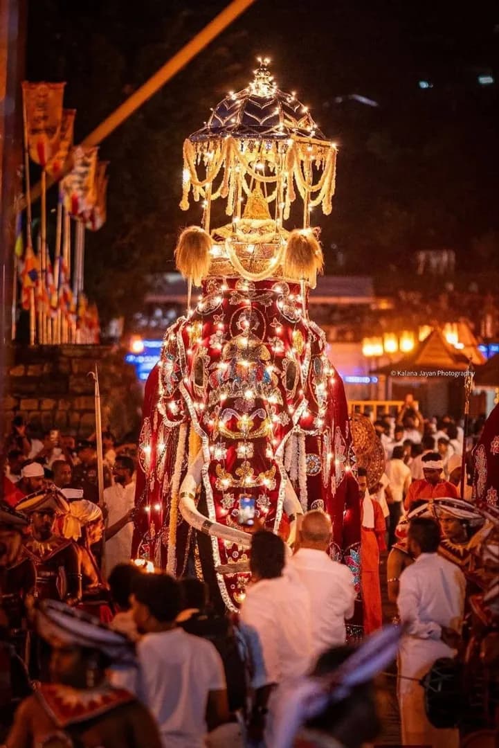 The Temple of the Tooth Relic Esala Perahera in Kandy, Sri Lanka – One of Asia's Most Spectacular Cultural Festivals!