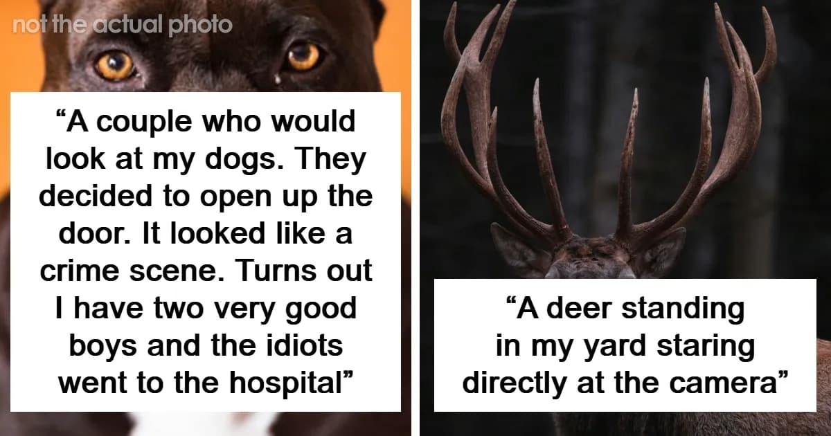 27 Times Security Cameras Captured Pure Nightmare Fuel