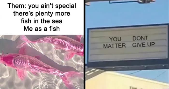 Relatable Memes That Capture Daily Womenâs Struggles
