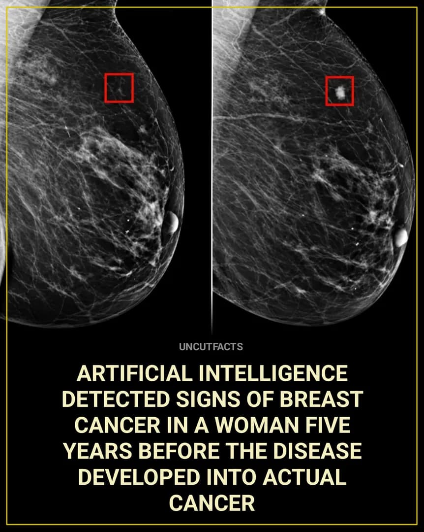 Artificial intelligence should be used like this.