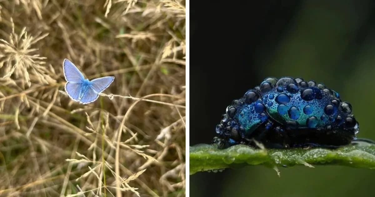 People Couldn’t Keep These 51 Animal Photos To Themselves As They Found Them Really Cool