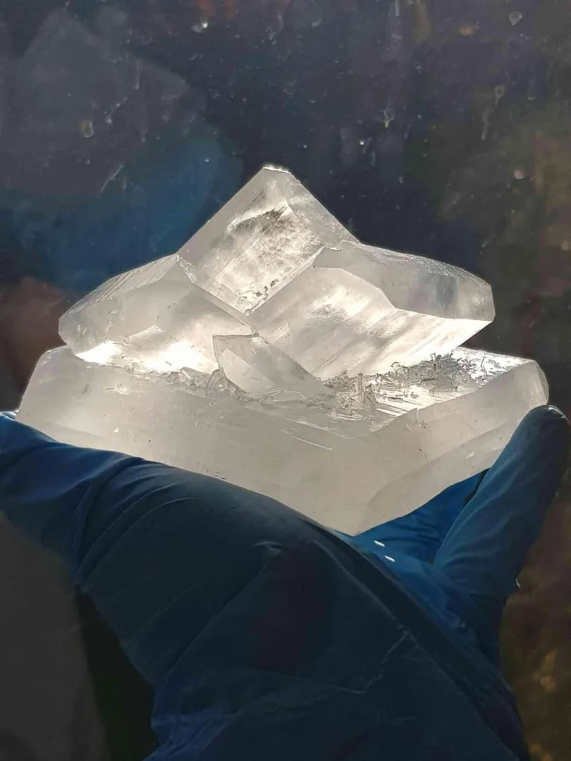 I grew this crystal cluster from mixing citric acid and baking soda