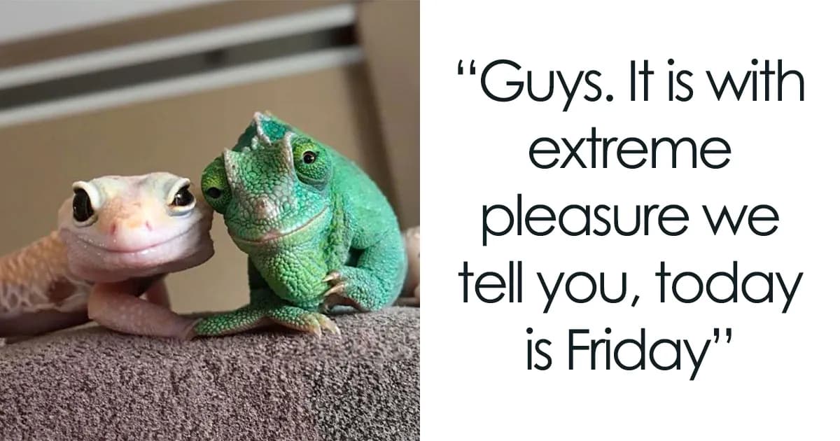 93 Happy Friday Memes To Kickstart The Weekend