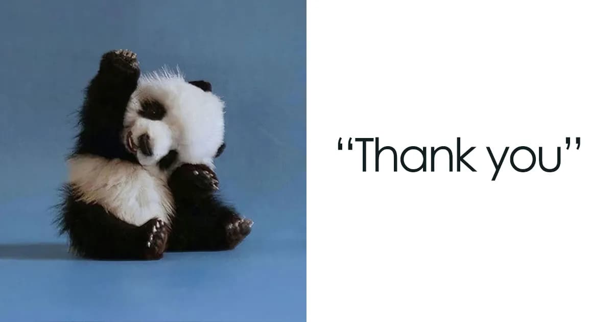Consider This A Thank You: 37 Memes For Showing Appreciation