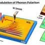 Femtosecond nano-imaging reveals ultrafast optical control of phonon polaritons