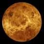 Peptides can form well-defined structures in harsh, Venus-like conditions