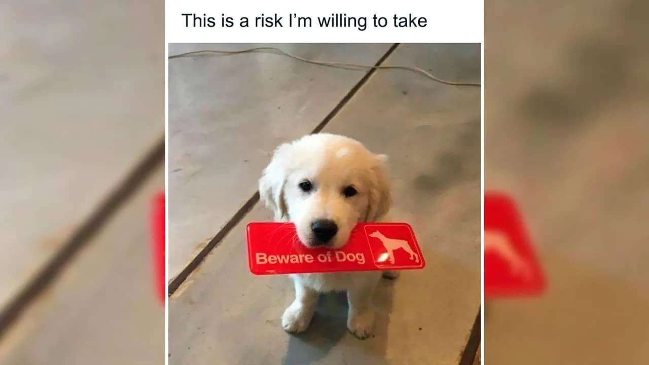102 Wholesome Posts That Feel Like A Tiny Break From Everything Going Wrong
