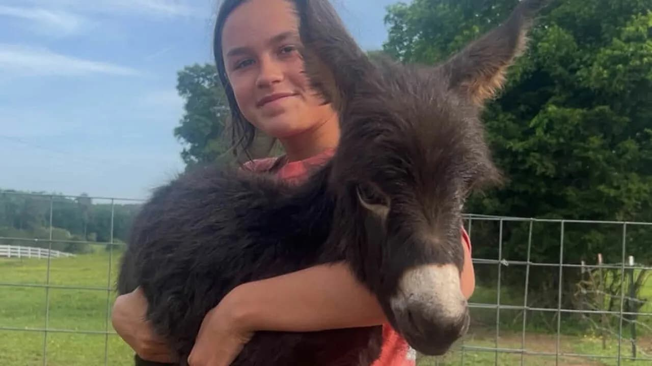 Officer Facing Backlash After Entering Family’s Pasture Without Permission And Firing On Their Baby Pet Donkey