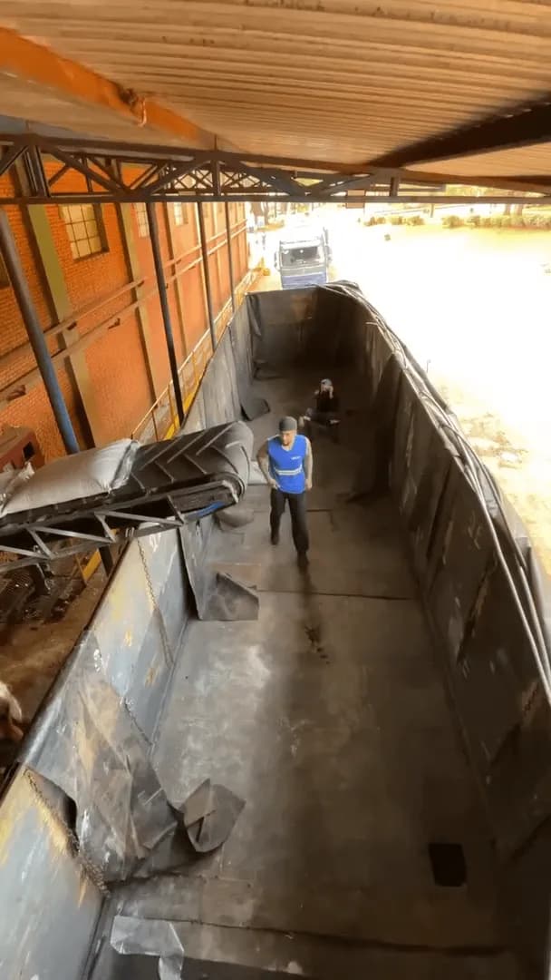 Loading Bags Onto a Truck