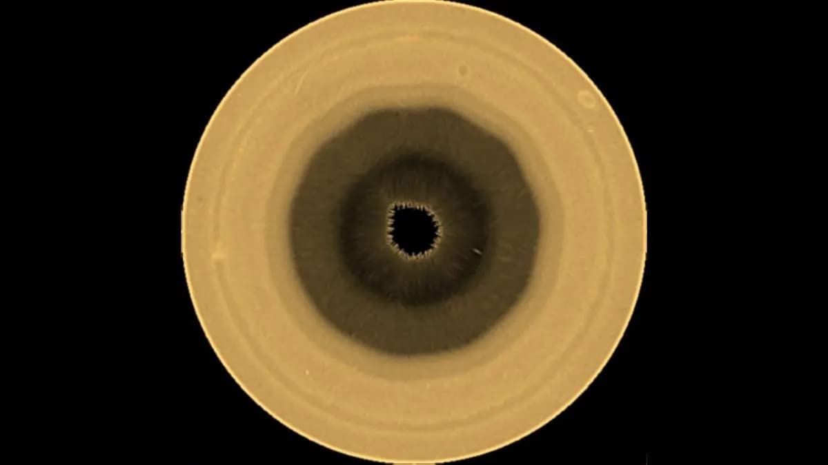 Astronomers Spot an Uncannily Geometric, 10-Sided Structure in Saturn's Atmosphere