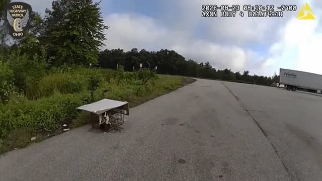 Police officer rescues, plays with abandoned dog