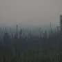 The future of Alaskan wildfire detailed in new climate model study