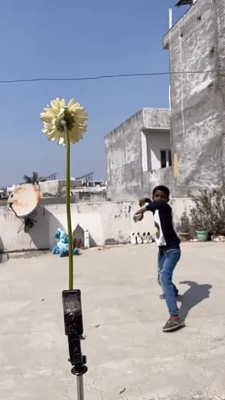 This little guy from India