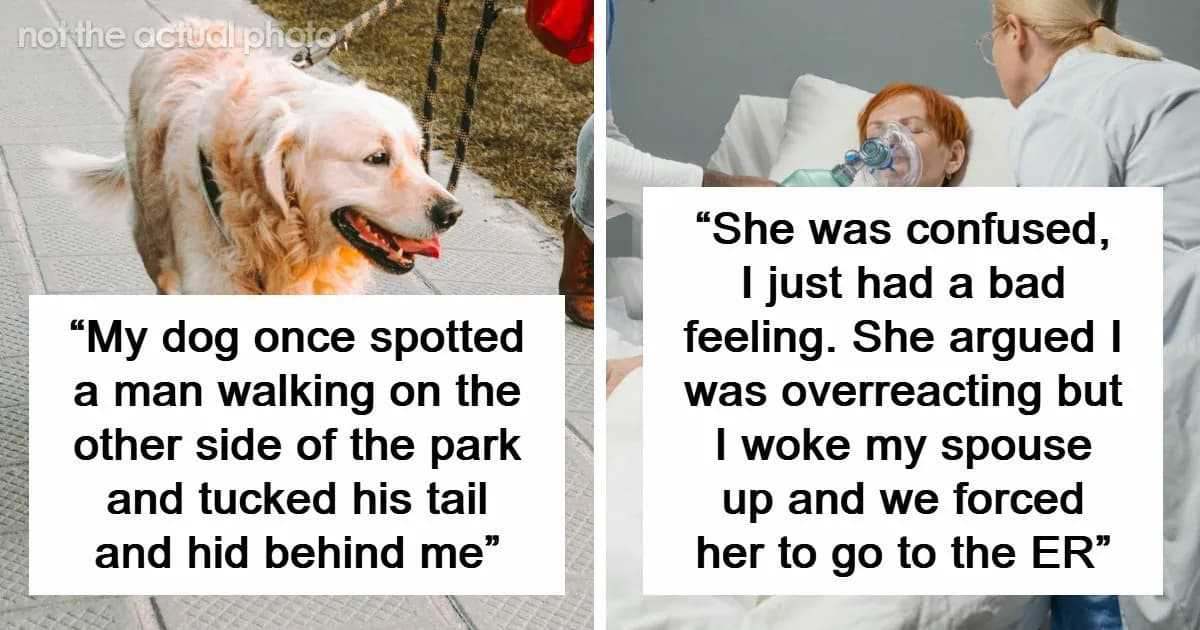 Warning Signs: 47 Times People Trusted Their Instincts And Left