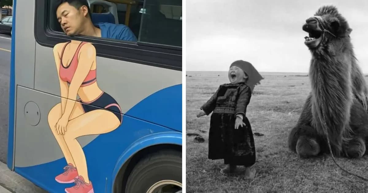 25 Amusing Examples Of Perfect Timing Creating Unexpected And Chaotic Photos