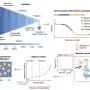 From peas to potatoes, AI identifies nearly 800 promising plant proteins for food and cosmetics