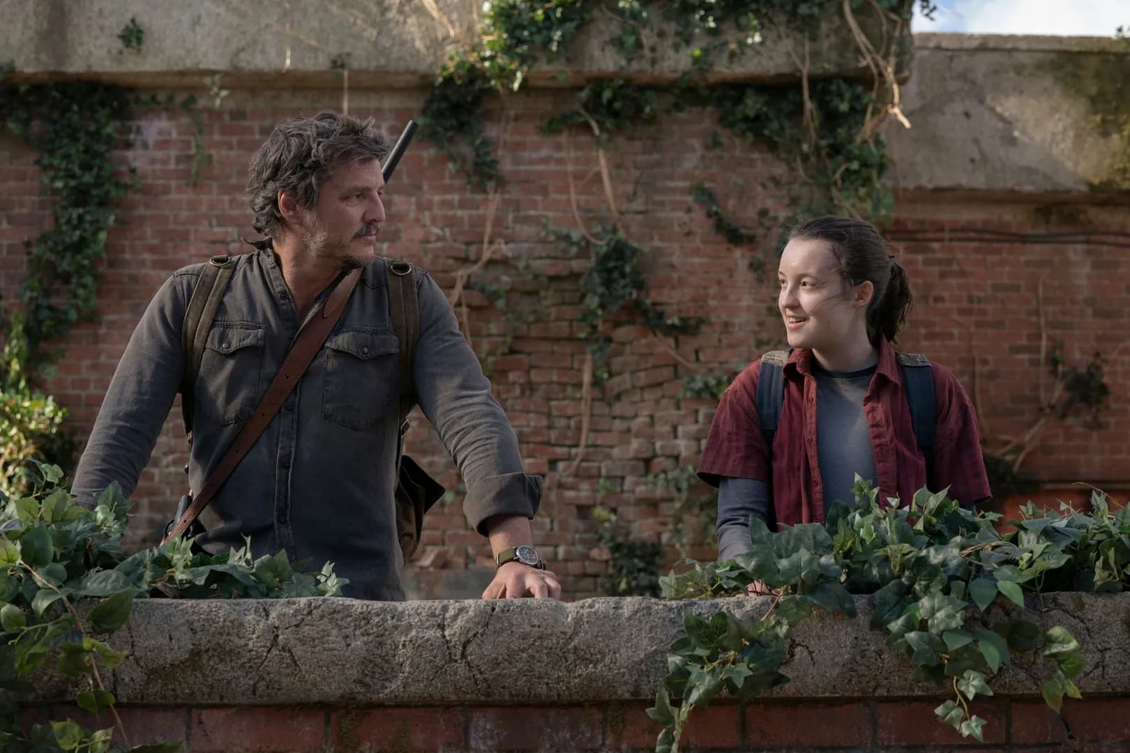 The Last of Us Will Continue After the HBO Show’s Third Season