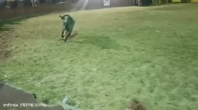 Roper lassos bull just in time to save a 6-year-old girl who fell into the ring