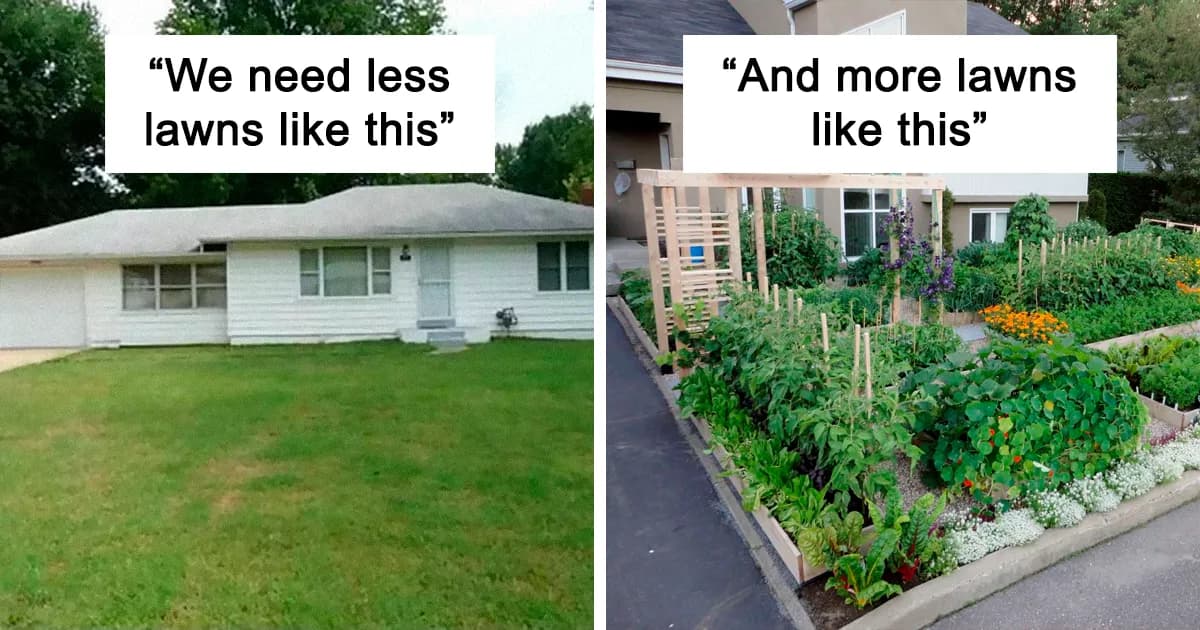The “Solarpunk” Online Group Shares 26 Environmental Memes That People Who Are Sick Of Capitalism Destroying The Planet Can Relate To