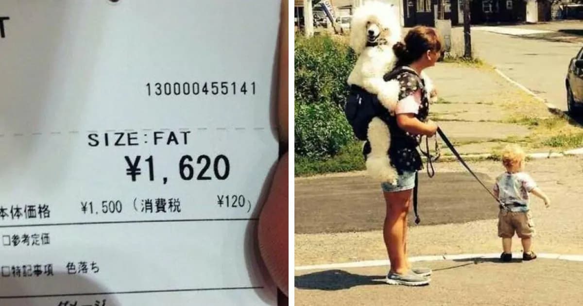 Baffling Fails That Turned Simple Jobs Into Complete Disasters