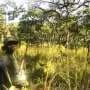 Park rangers and residents speak up to save Togo's last national park