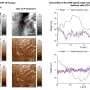Bumpy battery surfaces can masquerade as nanoscale ion pathways, misleading material design