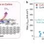 Inexpensive blue pigment enables efficient one-step conversion of carbon dioxide to methane