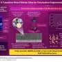 New nitride semiconductor expands material options for more powerful electronics