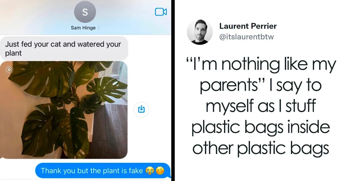 Comic Selection: 42 Whimsical Memes For A Quick Break